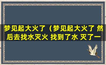 梦见起大火了（梦见起大火了 然后去找水灭火 找到了水 灭了一些火）